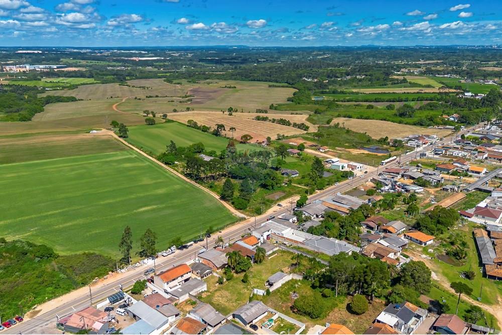 Terreno - Venda - São José dos Pinhais , Paraná - DJI_0391_1.jpg - 560391051-19