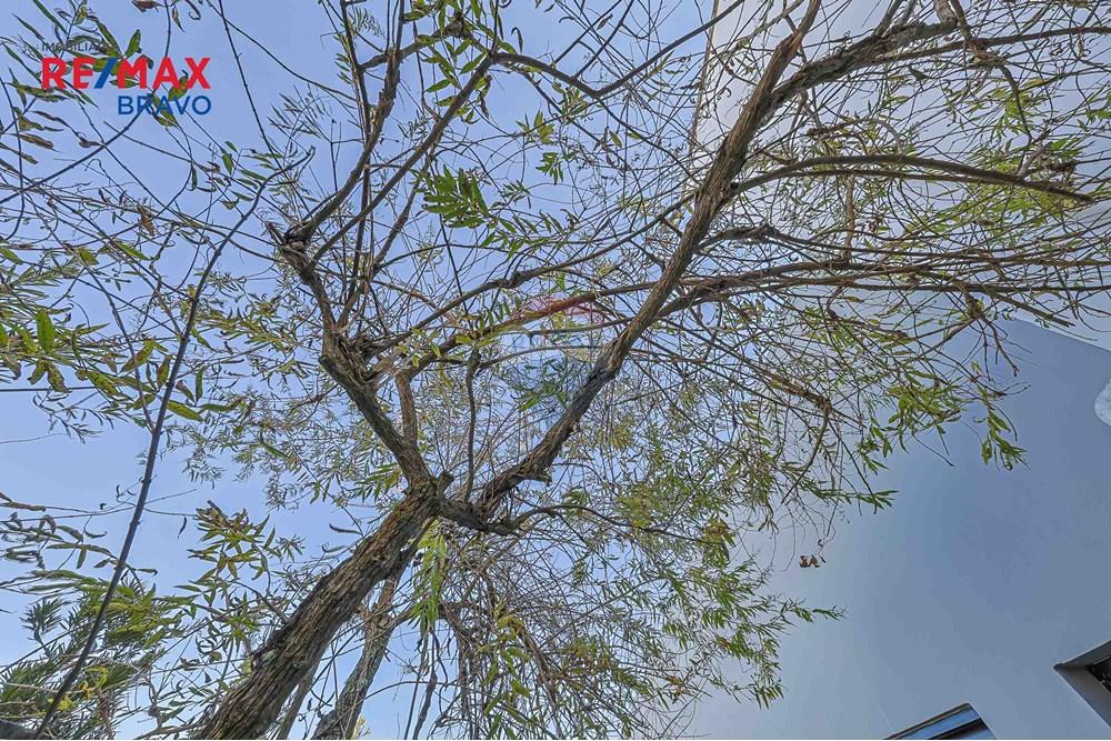 Casa de Condomínio - Venda - Campo Largo , Paraná - CRF_1994.jpg - 560371021-42