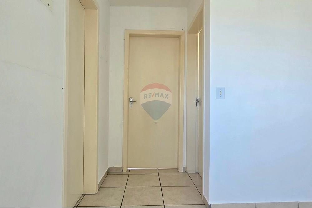 Apartamento - Venda - São José dos Pinhais , Paraná - 20251014_141931.jpg - 560411027-30