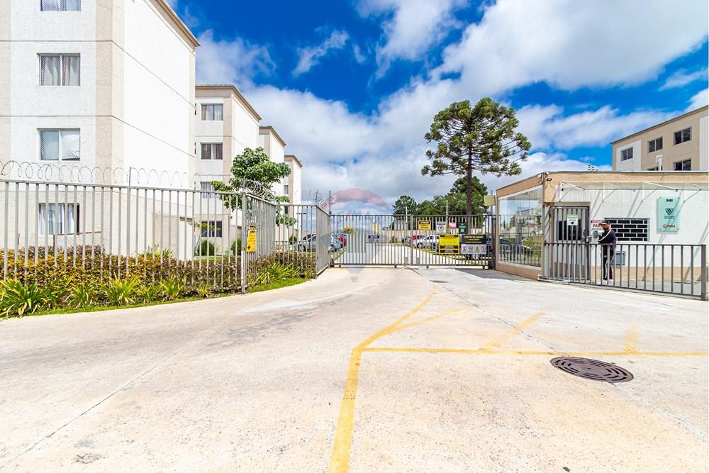 Apartamento - Venda - São José dos Pinhais , Paraná - Sheep - IMG_7298.jpg - 560411078-6