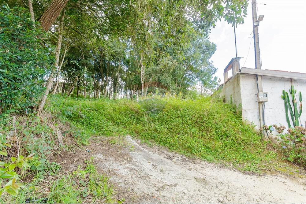 Terreno - Venda - Colombo , Paraná - _MG_7378.jpg - 560391062-13