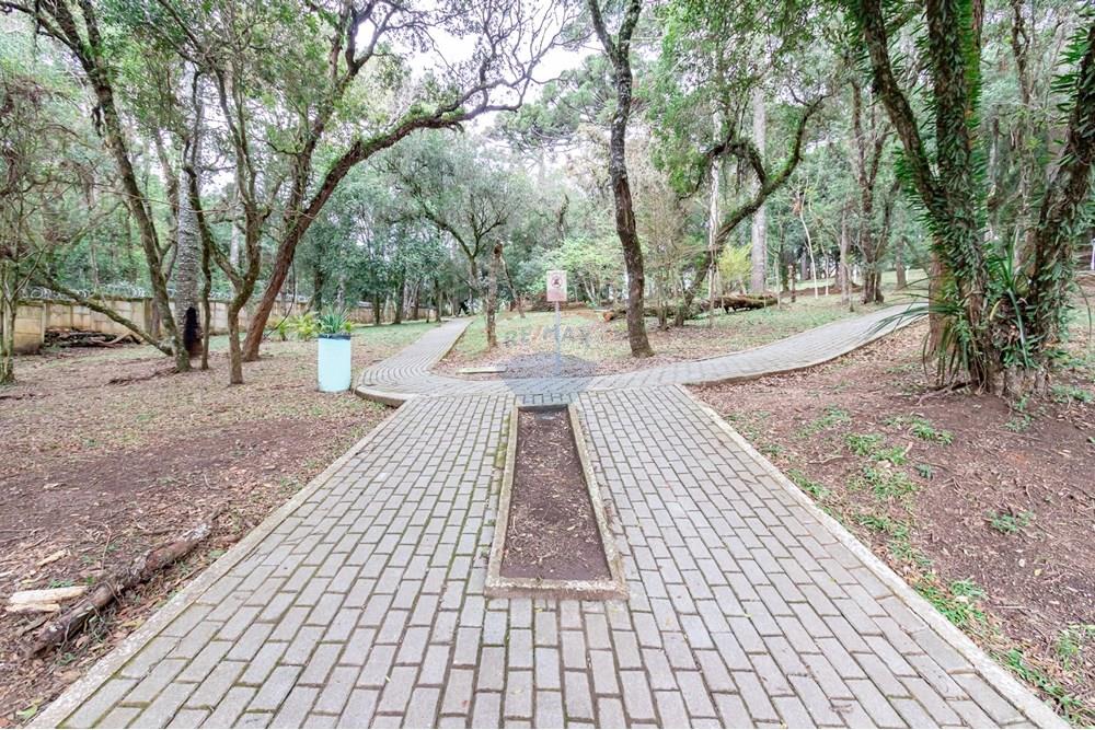 Apartamento - Venda - São José dos Pinhais , Paraná - 350.jpg - 560391055-24