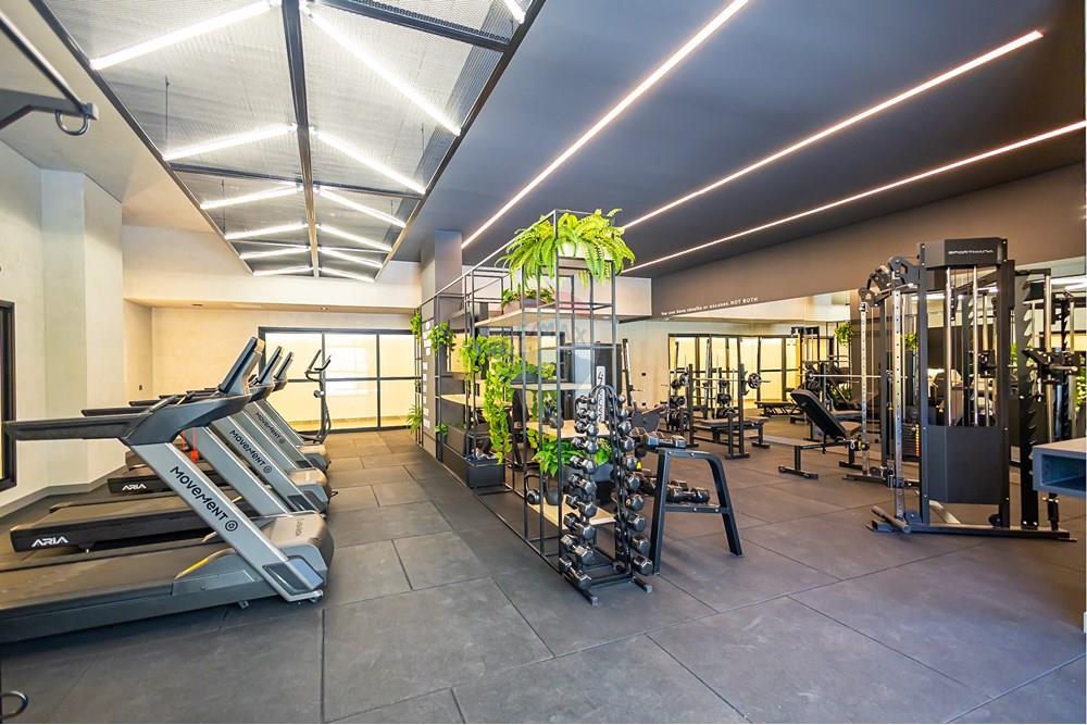 Apartamento - Venda - Curitiba , Paraná - IMG_2066.jpg - 560311089-4