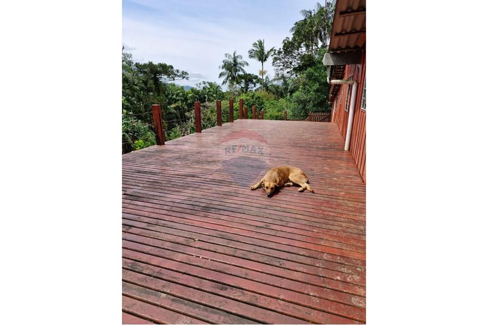 Chácara / Sítio / Fazenda - Venda - Guaratuba , Paraná - IMG-20251016-WA0009.jpg - 560321090-38