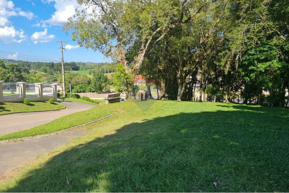 Casa Comercial - Alugar - São José dos Pinhais , Paraná - 9048fea7-b527-4809-8b8d-0643e19d116d.jpeg - 560331128-18