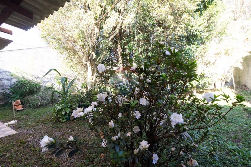 Casa - Venda - Curitiba , Paraná - IMG_1422.jpg - 560331019-89