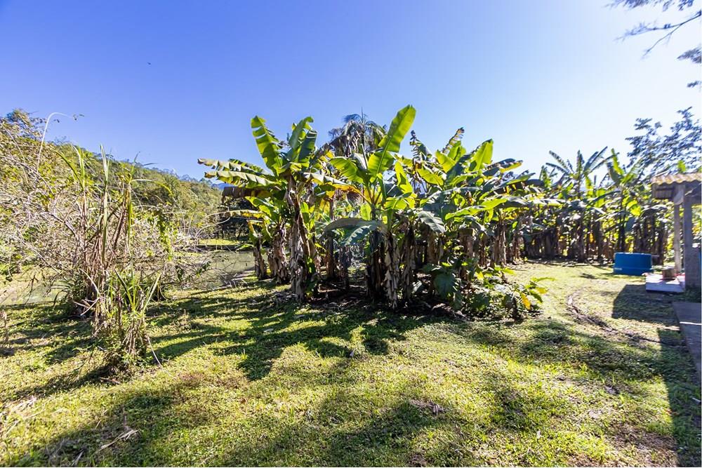 Chácara / Sítio / Fazenda - Venda - Antonina , Paraná - IMG_4802.jpg - 560411008-83