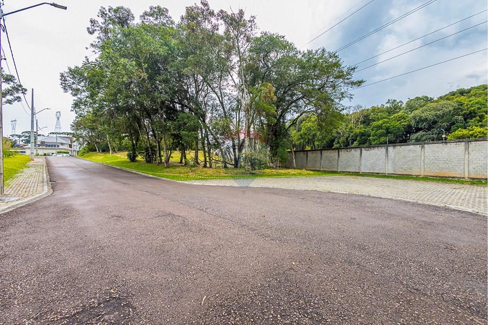 Terreno - Venda - Curitiba , Paraná - SHEEP - IMG_2561_1.jpg - 560341101-20