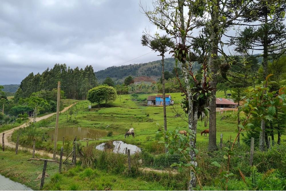 Chácara / Sítio / Fazenda - Venda - Tijucas do Sul , Paraná - aca0923d-b7d8-4674-9298-85e46e8aa895.jpeg - 560391051-16