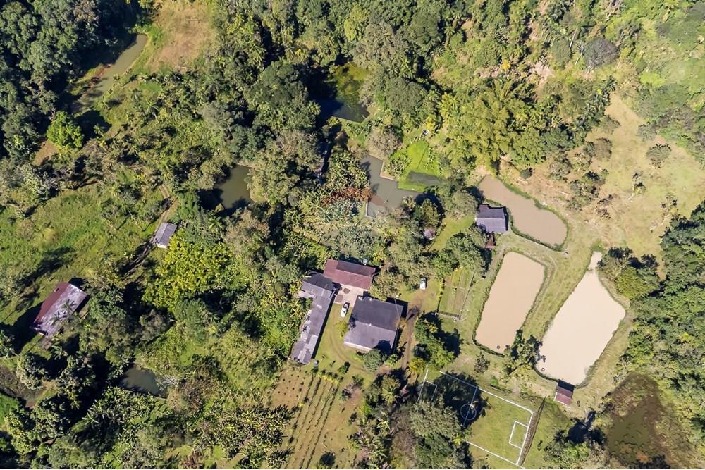 Chácara / Sítio / Fazenda - Venda - Antonina , Paraná - DJI_0656_1.jpg - 560411008-83