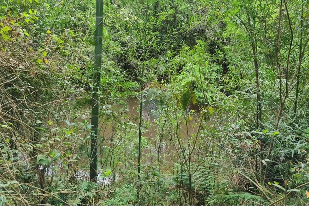 Chácara / Sítio / Fazenda - Venda - São José dos Pinhais , Paraná - 1d0b70bf-bedb-455b-97cf-bb1a38ba531a.jpeg - 560331128-24