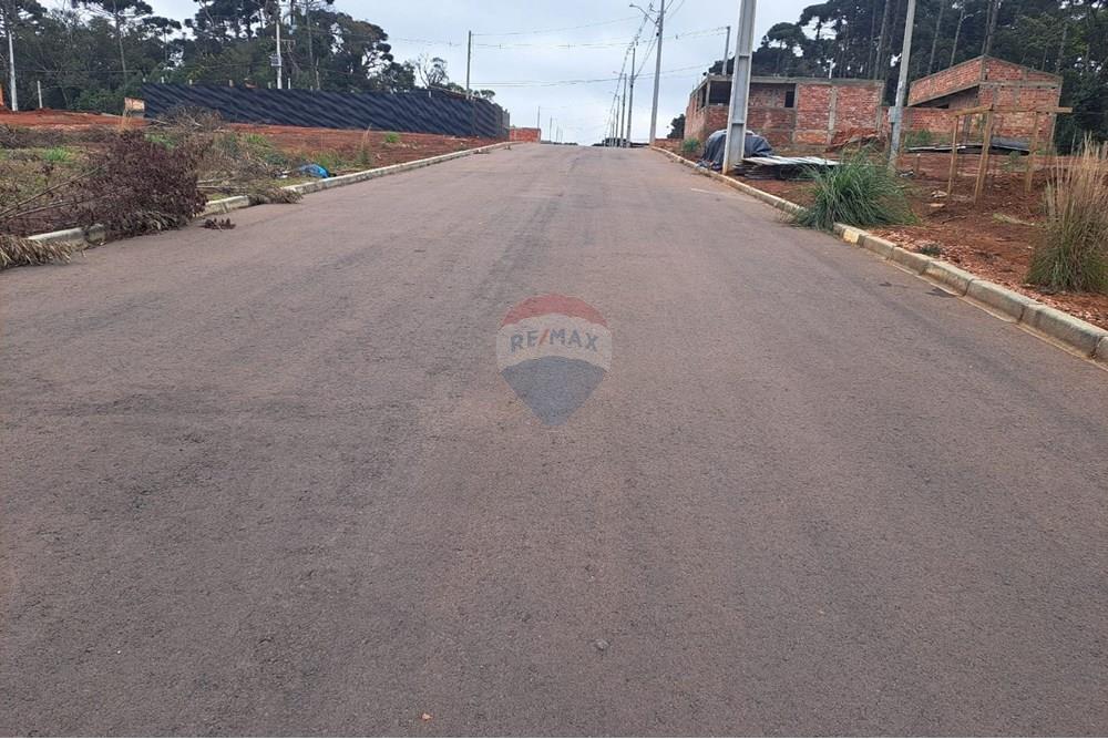 Terreno - Venda - Fazenda Rio Grande , Paraná - WhatsApp Image 2025-08-29 at 19.18.39.jpeg - 560441032-9