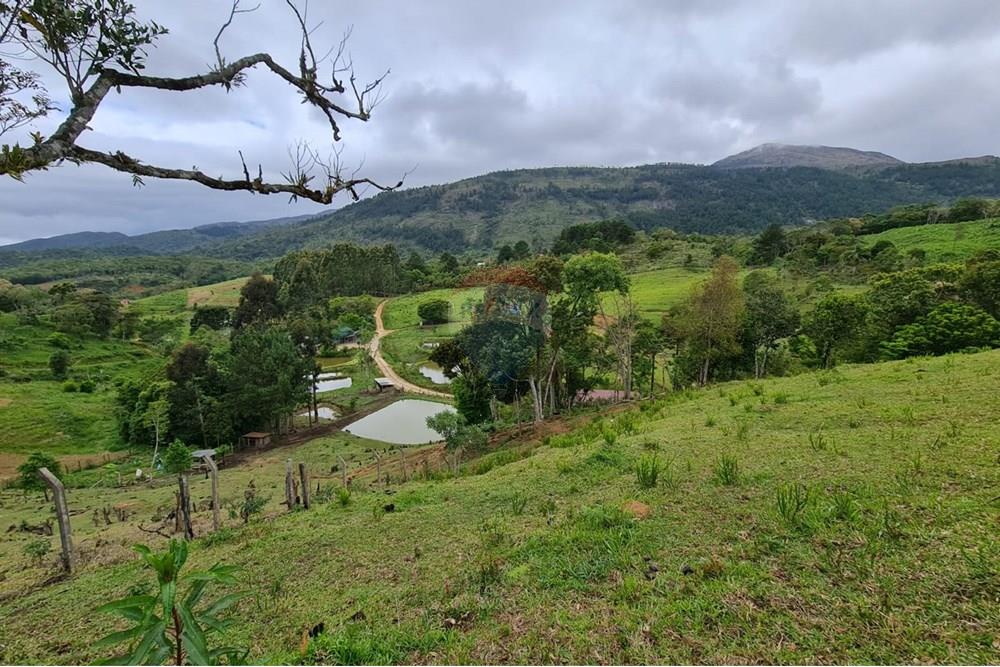 Chácara / Sítio / Fazenda - Venda - Tijucas do Sul , Paraná - bb54959d-6313-43fa-965c-8e86f2550d21.jpeg - 560391051-16