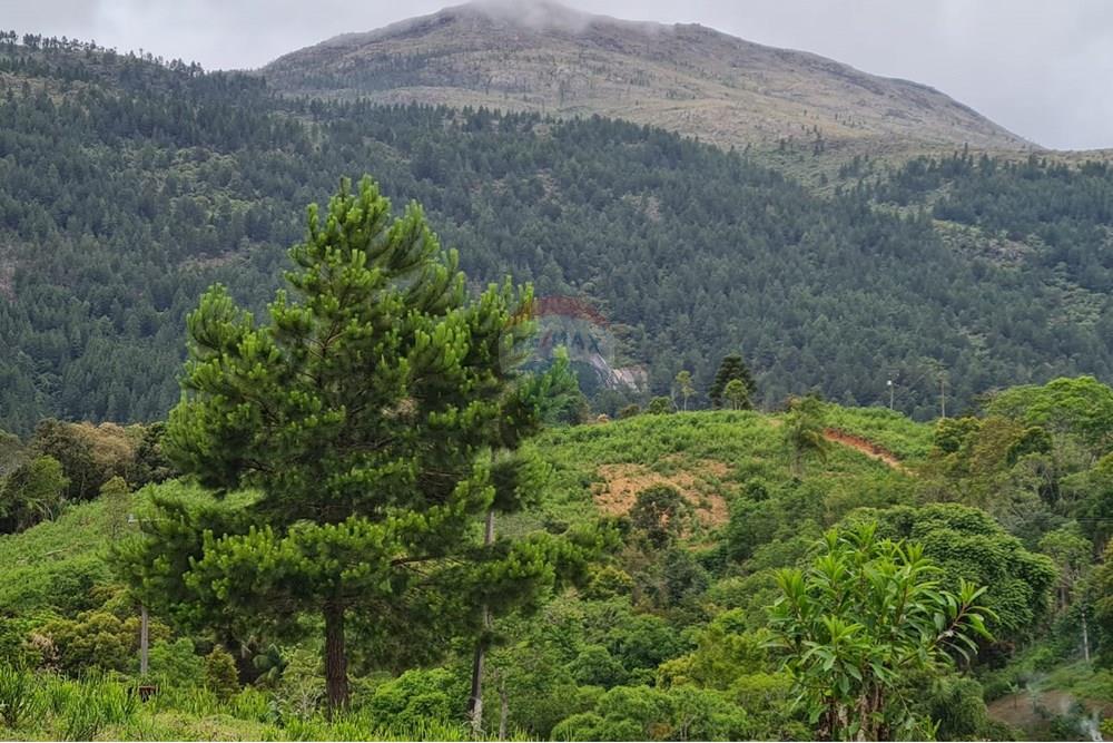 Chácara / Sítio / Fazenda - Venda - Tijucas do Sul , Paraná - 02aef8e9-0929-4cdf-9441-a86b8e1db15b.jpeg - 560391051-16