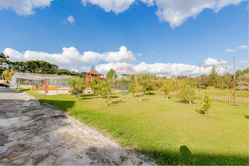 Apartamento - Venda - Curitiba , Paraná - IMG_6692.jpg - 560351106-43