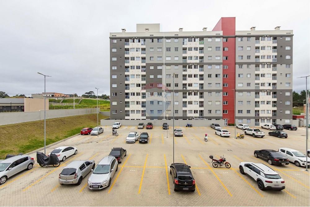 Apartamento - Alugar - São José dos Pinhais , Paraná - IMG_8287_1.jpg - 560411051-204