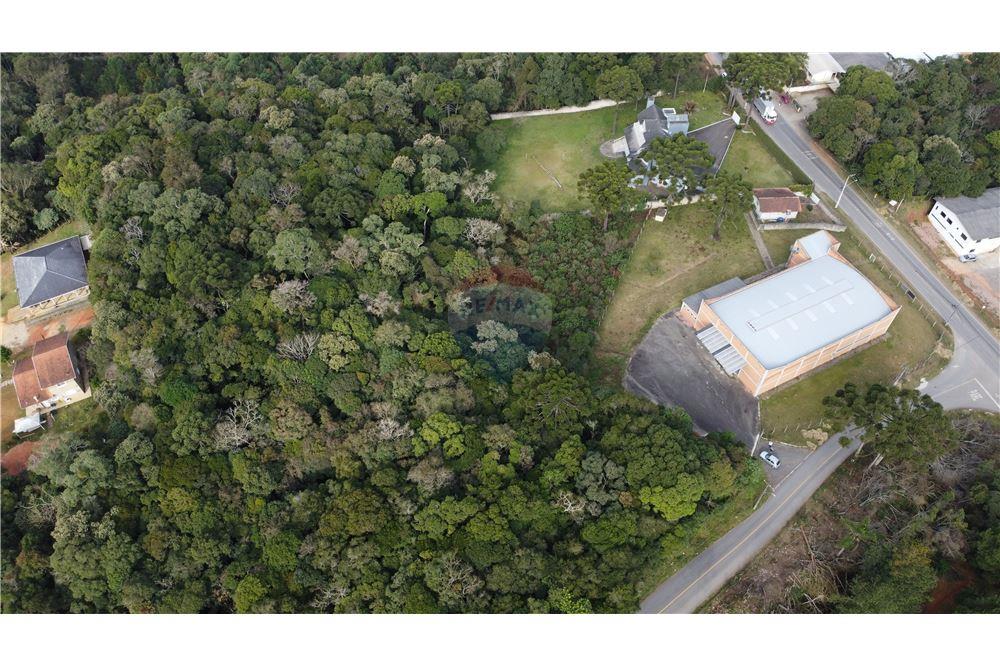 Terreno - Venda - São José dos Pinhais , Paraná - 10 - 560341114-47