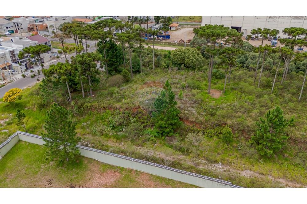 Terreno - Venda - São José dos Pinhais , Paraná - DJI_20250227132905_0564_D.jpg - 560351069-35