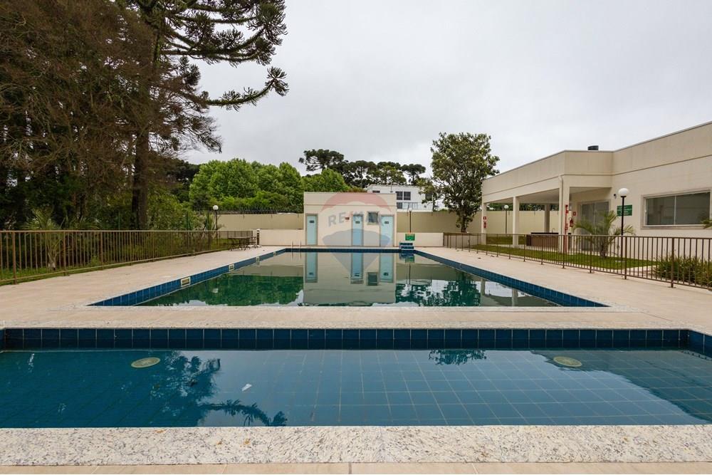 Apartamento - Alugar - Curitiba , Paraná - IMG_0118.jpg - 560251018-318