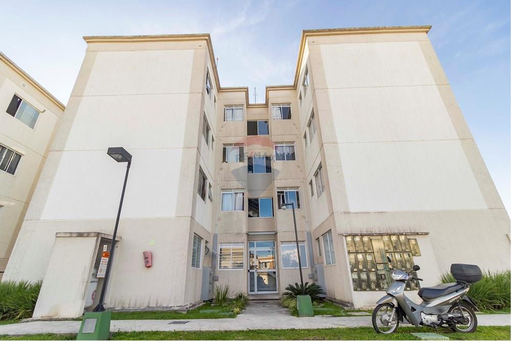 Apartamento - Alugar - São José dos Pinhais , Paraná - IMG_8666_1.jpg - 560251018-302