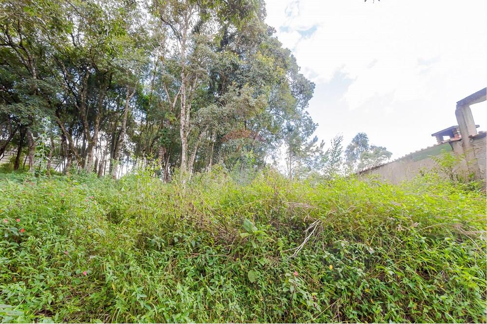 Terreno - Venda - Colombo , Paraná - _MG_7374.jpg - 560391062-13