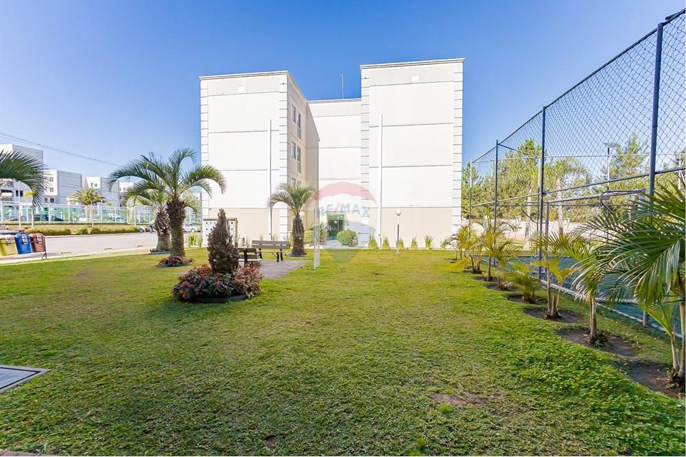 Apartamento - Venda - Curitiba , Paraná - IMG_0666.jpg - 560321141-3