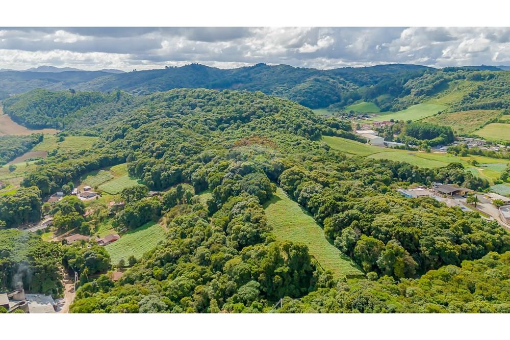 Terreno - Venda - Colombo , Paraná - DJI_20250317150009_0135_D.jpg - 560391062-11