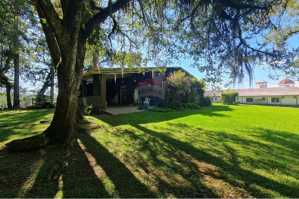 Casa Comercial - Alugar - São José dos Pinhais , Paraná - 0dfa1ea6-8f74-4b51-95ff-79755f471af2.jpeg - 560331128-18