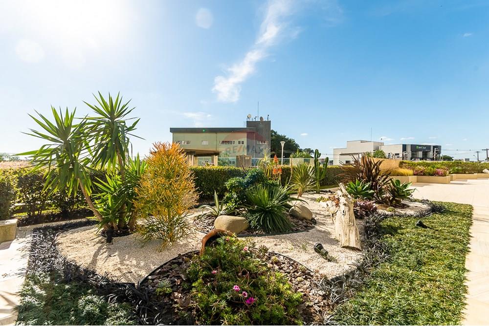 Apartamento - Alugar - Curitiba , Paraná - ProfPedroVPdeSouza-26.jpg - 560311047-548