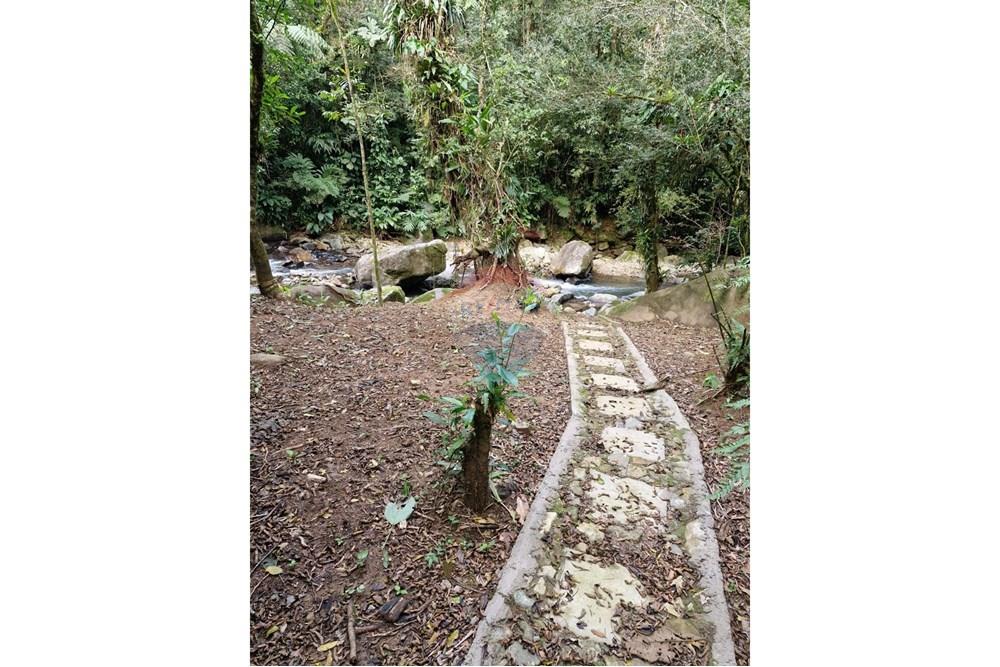 Chácara / Sítio / Fazenda - Venda - Guaratuba , Paraná - IMG-20251016-WA0016.jpg - 560321090-38