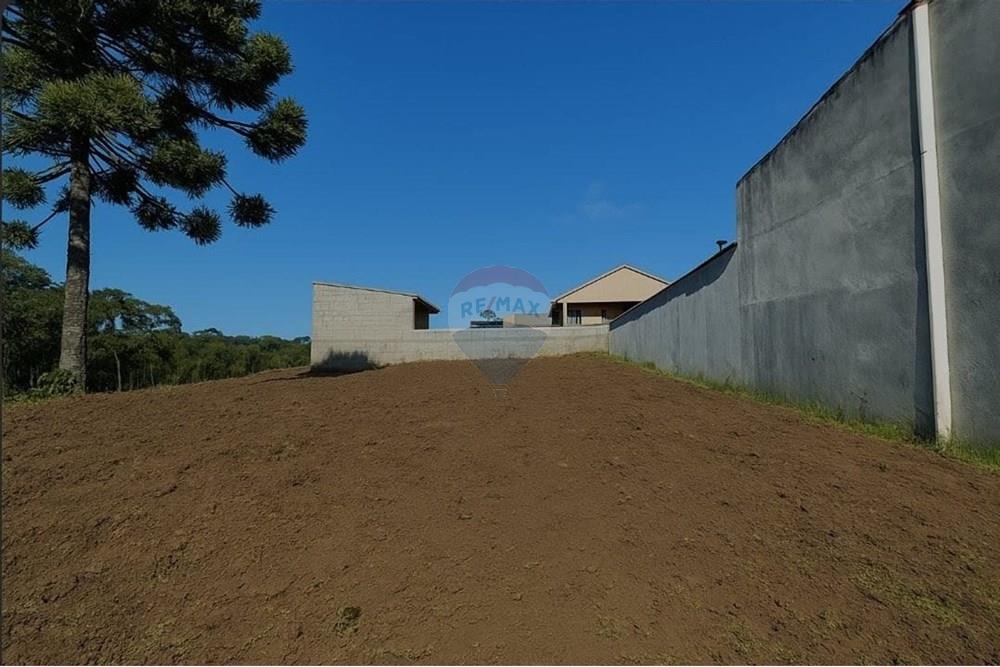 Terreno - Venda - Campo Largo , Paraná - 4.jpeg - 560351155-5