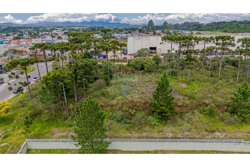 Terreno - Venda - São José dos Pinhais , Paraná - DJI_20250227132925_0566_D.jpg - 560351069-35