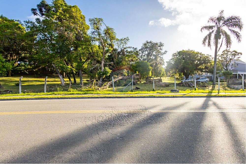 Terreno - Venda - Colombo , Paraná - IMG_9325.jpg - 560321090-43