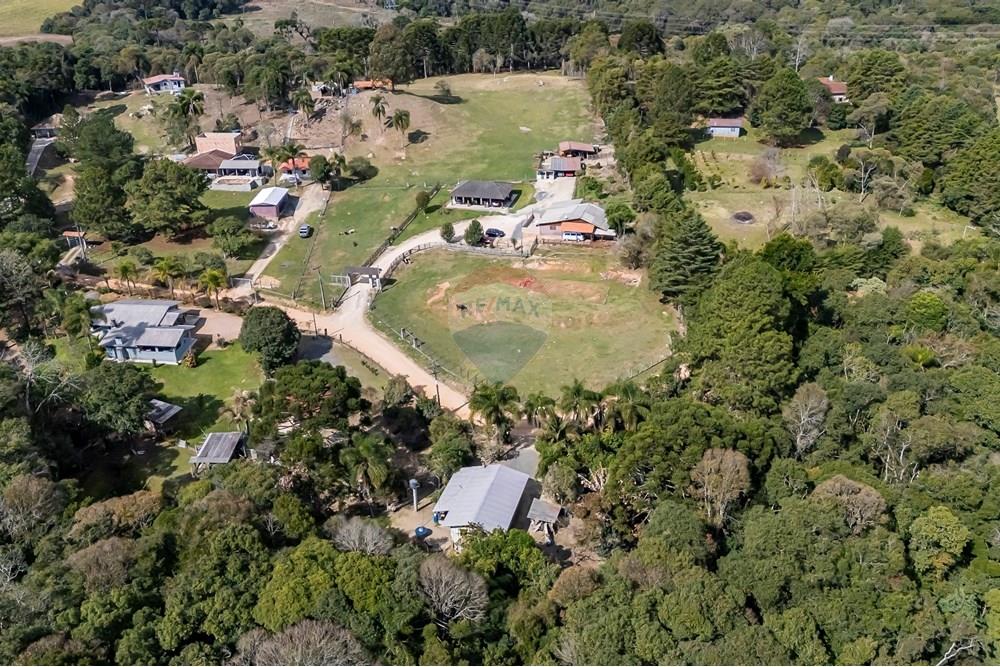 Chácara / Sítio / Fazenda - Venda - Campo Largo , Paraná - F (15).jpg - 560351150-1