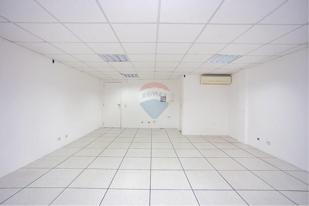 Turunduslik - Äripind - Curitiba , Paraná - BR - _MG_2282.jpg - 560351125-43