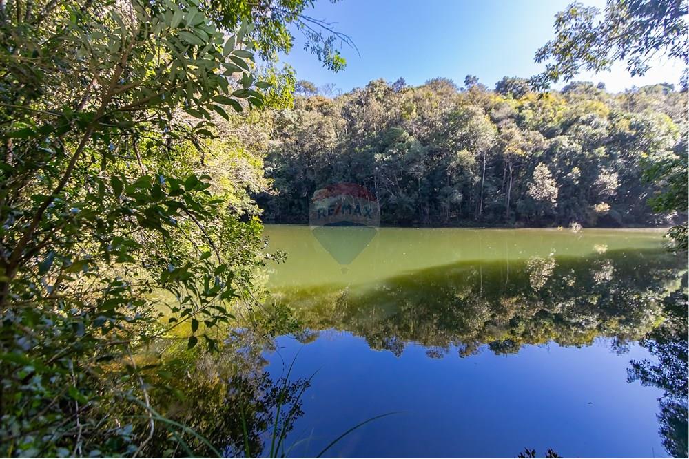 Chácara / Sítio / Fazenda - Venda - Piraquara , Paraná - IMG_3629.jpg - 560431012-39