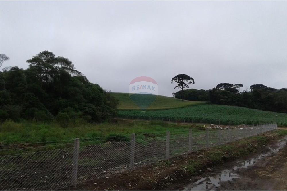 Terreno - Venda - Almirante Tamandaré , Paraná - 4174.jpg - 560351109-21