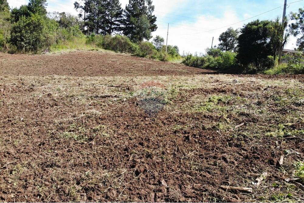 Chácara / Sítio / Fazenda - Venda - Campo Magro , Paraná - WhatsApp Image 2025-04-09 at 19.11.32.jpeg - 560351106-18