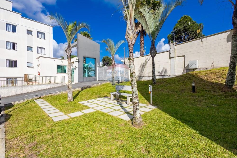 Apartamento - Alugar - Curitiba , Paraná - IMG_3838.jpg - 560411052-112