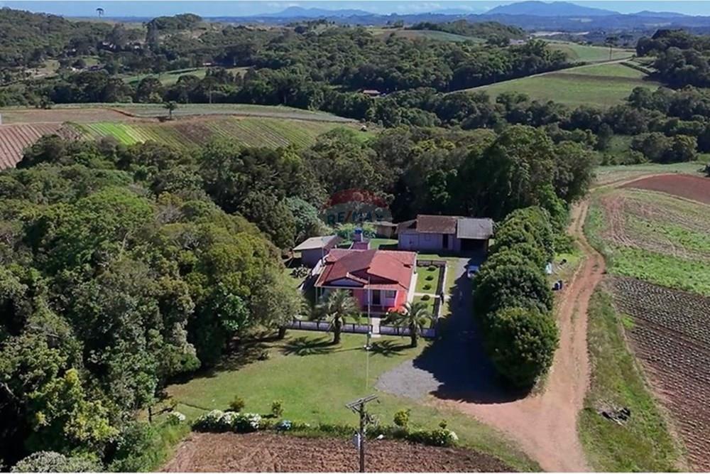 Chácara / Sítio / Fazenda - Venda - São José dos Pinhais , Paraná - WhatsApp Image 2025-12-15 at 11.22.17.jpeg - 560321160-2