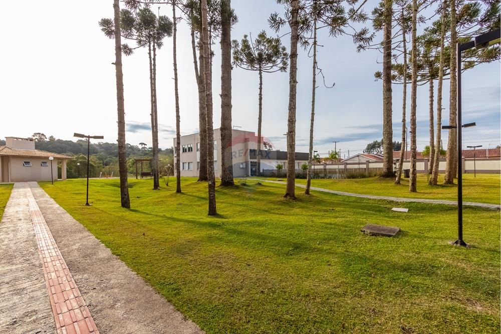 Apartamento - Venda - Campo Largo , Paraná - IMG_7128.jpg - 560311080-4