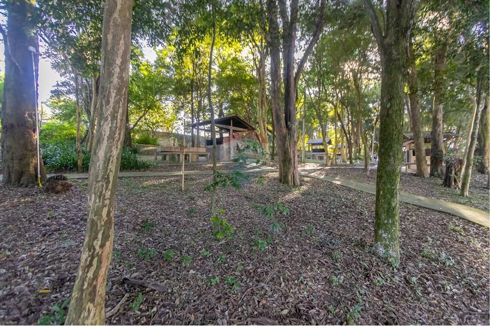 Apartamento - Venda - Curitiba , Paraná - IMG_8616.jpg - 560441028-9