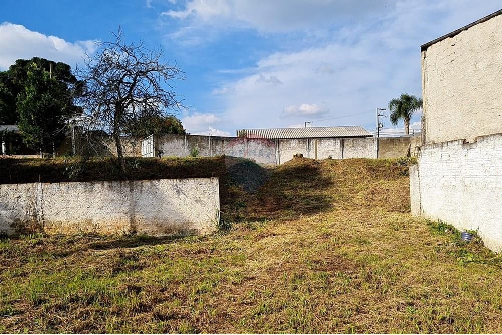 Terreno - Venda - São José dos Pinhais , Paraná - bb4c598e-41ea-4566-9768-0190c157c718.jpeg - 560391051-19