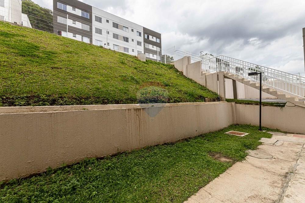 Apartamento - Venda - Campo Largo , Paraná - IMG_8655.jpg - 560321151-19