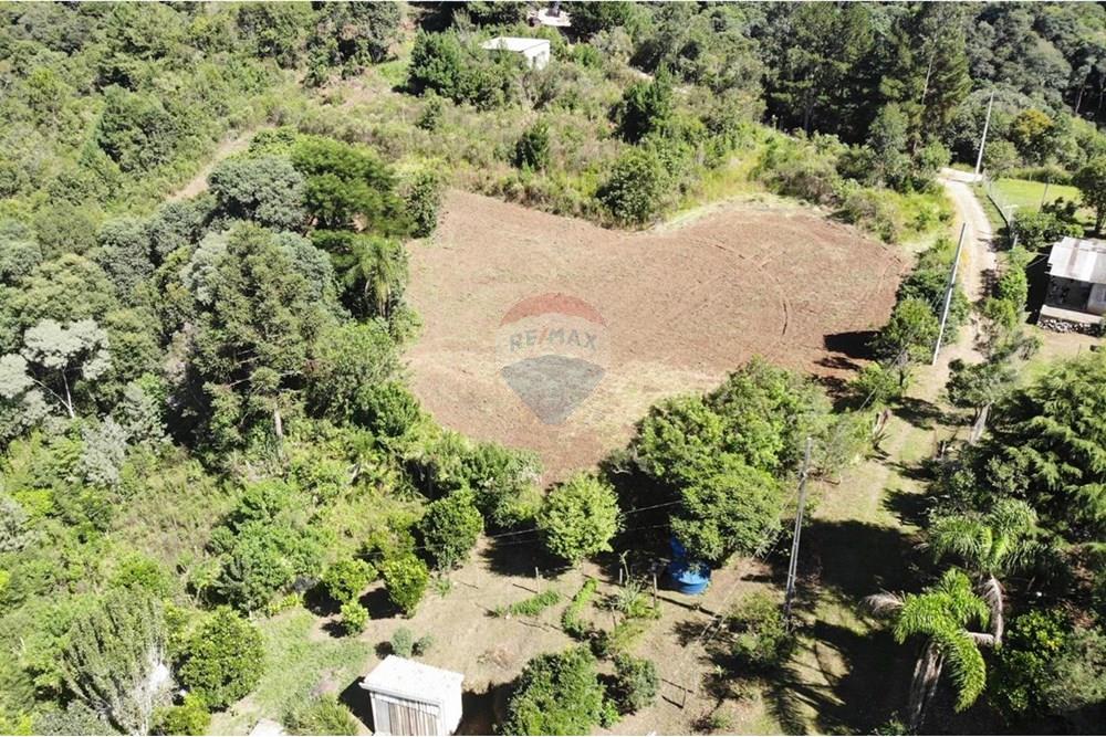 Chácara / Sítio / Fazenda - Venda - Campo Magro , Paraná - WhatsApp Image 2025-04-09 at 19.11.21.jpeg - 560351106-18