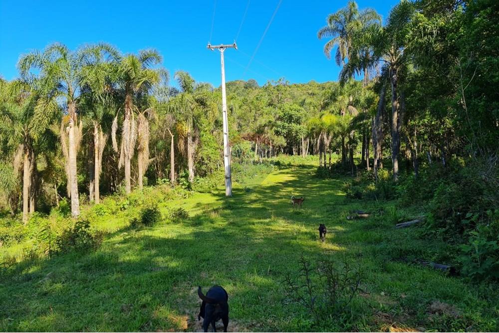 Chácara / Sítio / Fazenda - Venda - Tijucas do Sul , Paraná - 55ea3937-9275-4eee-8797-82b6b327492f.jpeg - 560391051-20