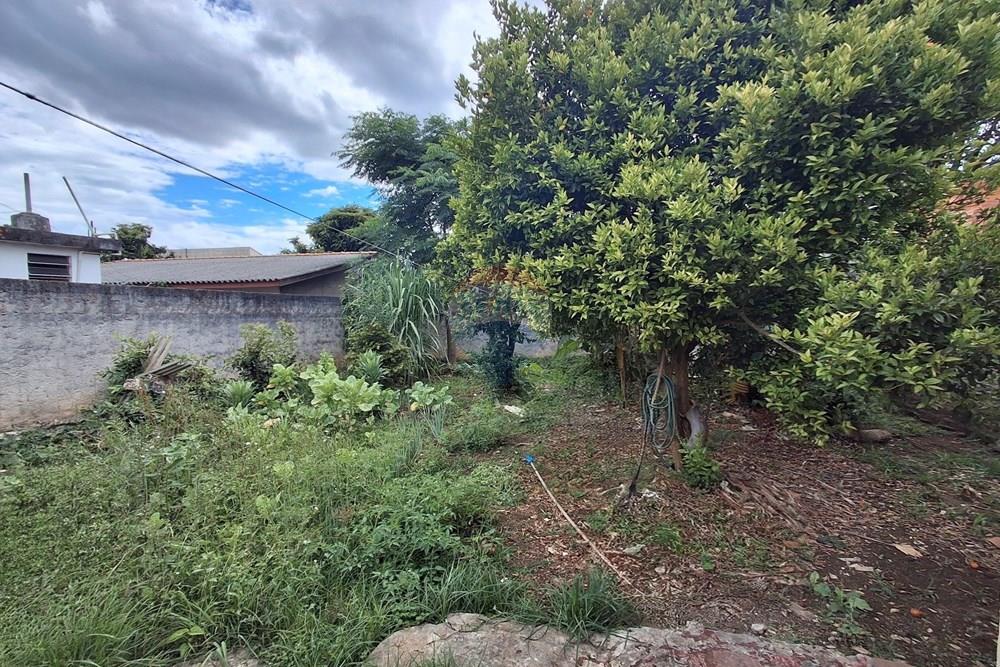 Terreno - Venda - Araucária , Paraná - 20260111_151418.jpg - 560491002-26