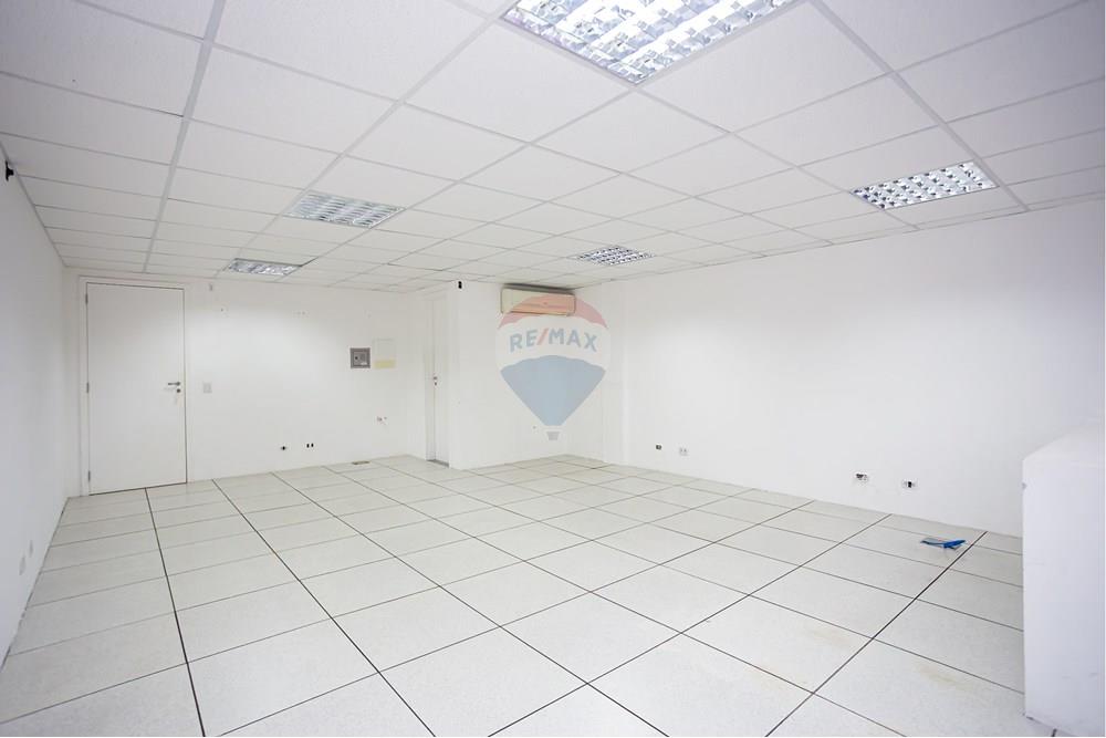 Turunduslik - Äripind - Curitiba , Paraná - BR - _MG_2281.jpg - 560351125-43