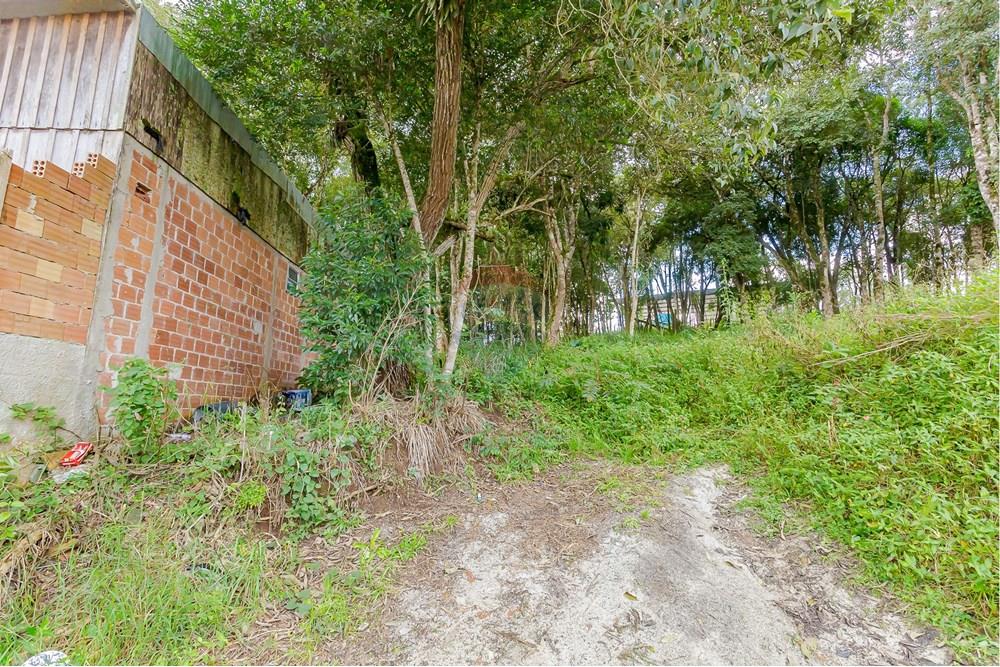 Terreno - Venda - Colombo , Paraná - _MG_7376.jpg - 560391062-13