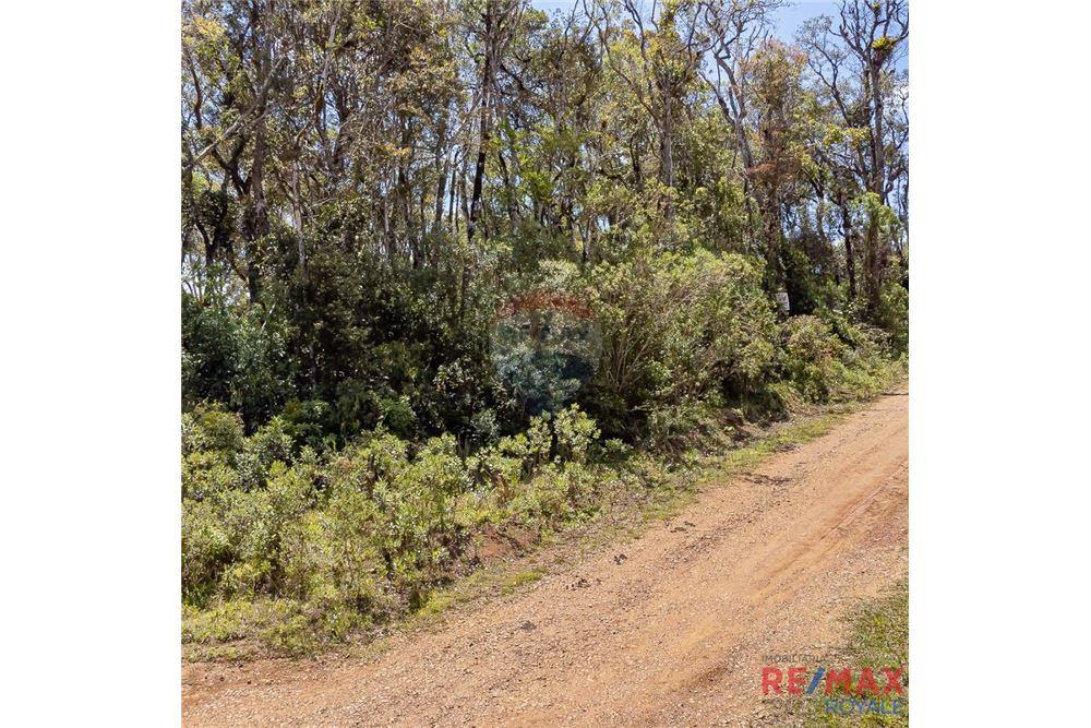 Terreno - Venda - São José dos Pinhais , Paraná - 18 - 560251029-43